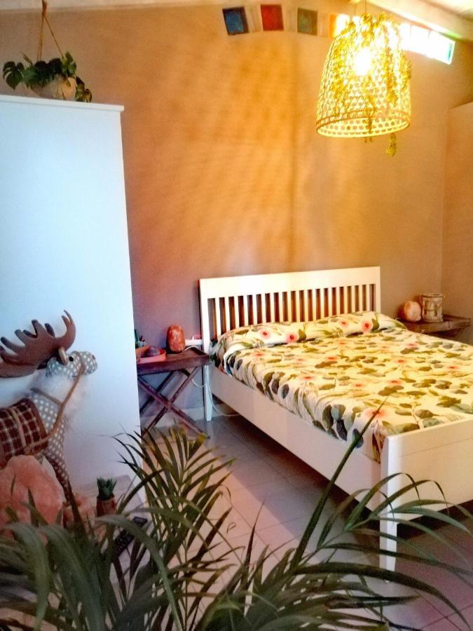Apartament Vaiana