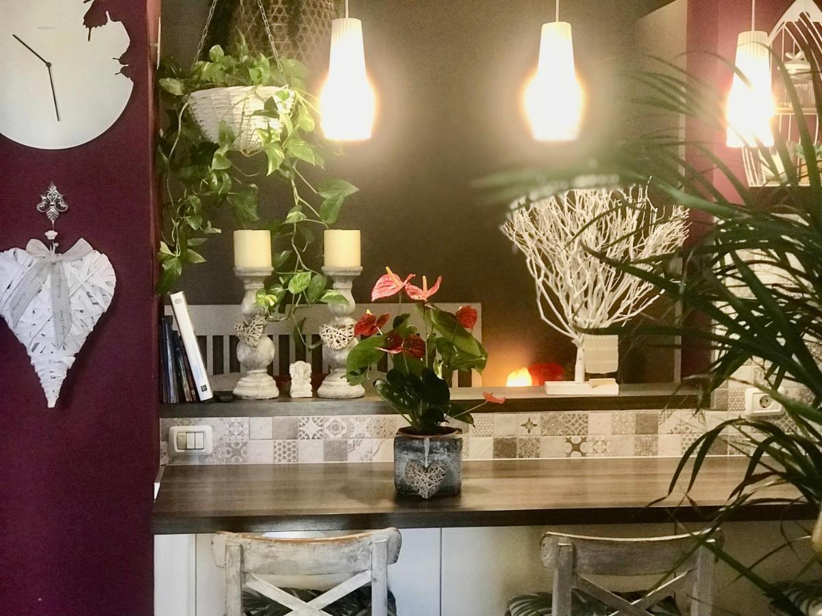 Vaiana Apartament